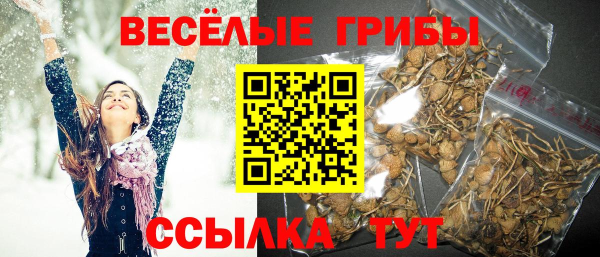 Галлюциногенные грибы прущие грибы  купить наркотик  Набережные Челны  Вход с VPN  Псилоцибиновые грибы мухоморы 