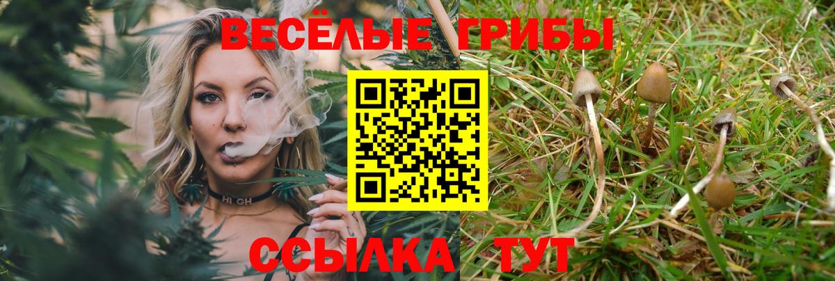 A PVP Набережные Челны